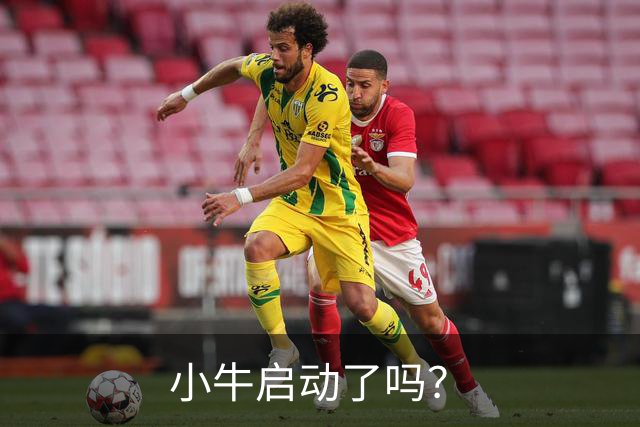 小牛启动了吗？